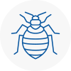 Bed Bug Extermination In Welling