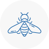 Bee Nest Removal Welling