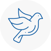 Bird Prevention Welling