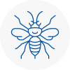 Welling Hornet Nest Removals