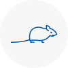Mice Exterminators In Welling
