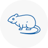 Rat Control Welling