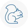 Welling Rodent Removals