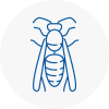 Welling Wasp Nest Removal